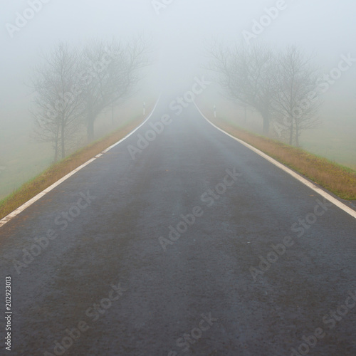 Wallpaper Mural Strasse im nebel Torontodigital.ca