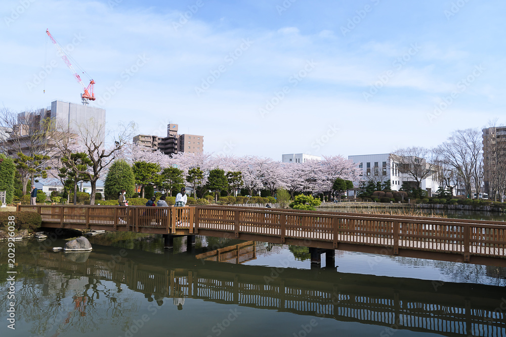 Naklejka premium サッポロビール ビオトープ園 Biotop park in sapporo beer sendai 