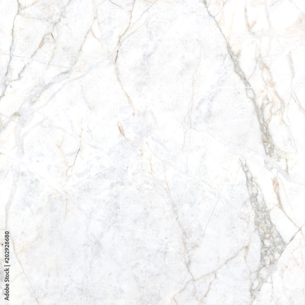 white background marble wall texture white background marble wall texture
