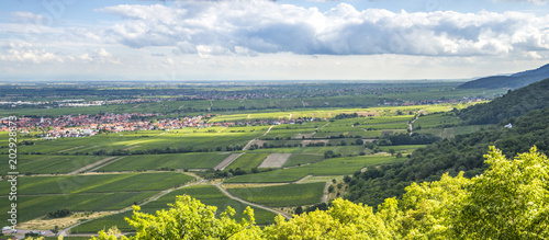 Blick vom Hambacher Schloss über die Deutsche Weinstraße 