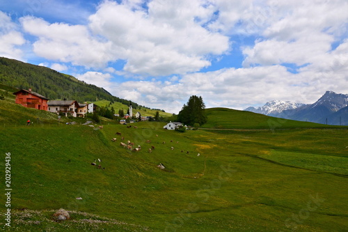 Swiss Alps-view of the Ftan