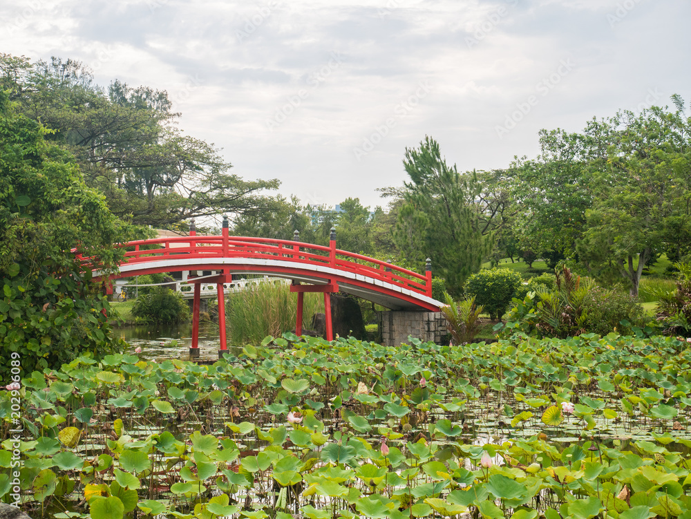 Red Bridge in Japanese Garden Singapore with Water Lily Pond