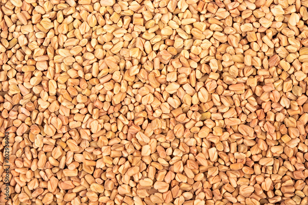 Fenugreek seeds background. View from above Fenugreek seeds background. View from above
