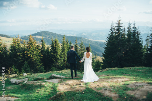 beautiful bride and groom staying in the mountains looking