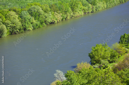  aerial view of river and green forest 