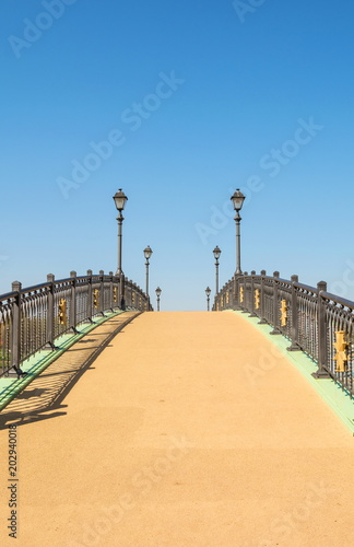 Beautiful openwork bridge with lanterns © allegro60