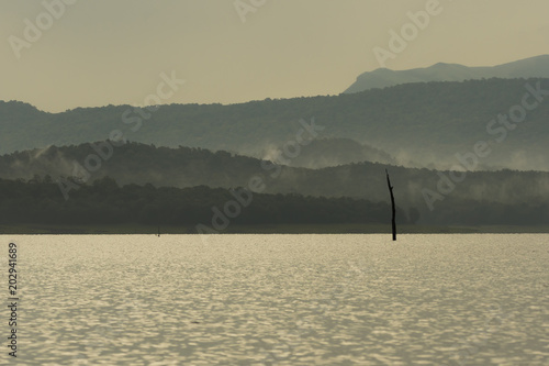 Landscape of the kabini backwaters on an early morning boat ride