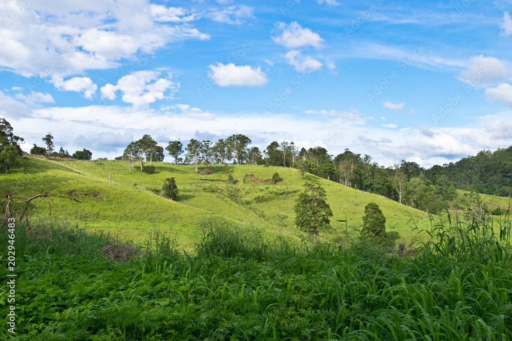 Landscape in Australian hinterland in the summer Landscape in Australian hinterland in the summer