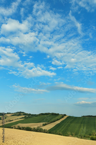 Countryside landscape  cultivated fields and blue sky