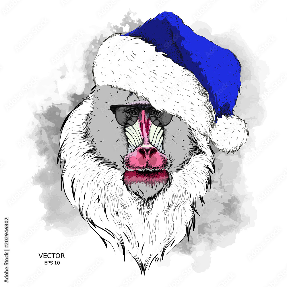 Φωτογραφία The christmas poster with the image of Mandrill portrait in Santa's hat