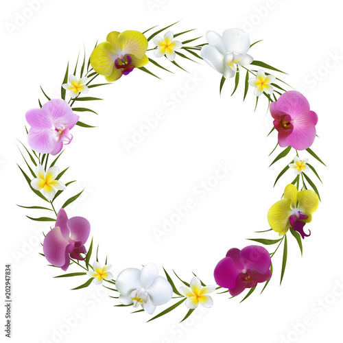 Tropical flowers. Orchids. Floral background. Border. Plumeria. Palm leaves. Exotic plants. Color. Bright. Isolated. Wreath.