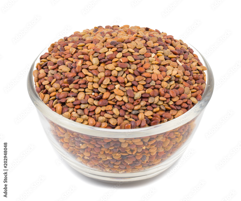 Red Lentil Seeds Isolated on White Background Red Lentil Seeds Isolated on White Background
