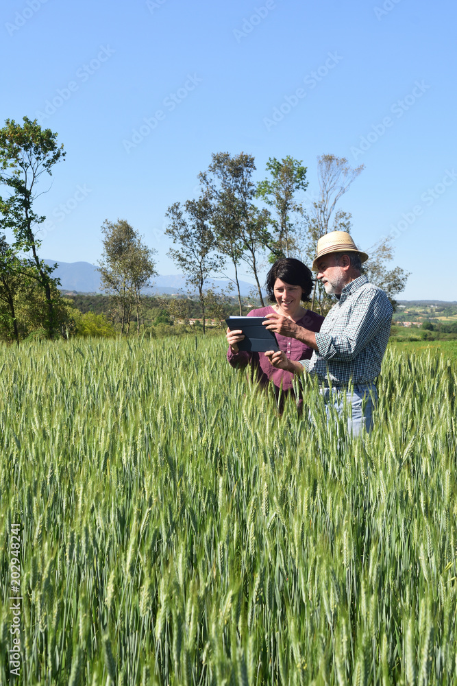 couple of farmers looking at a field couple of farmers looking at a field