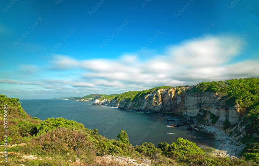 Fototapeta premium Panoramic view of the sea and forest