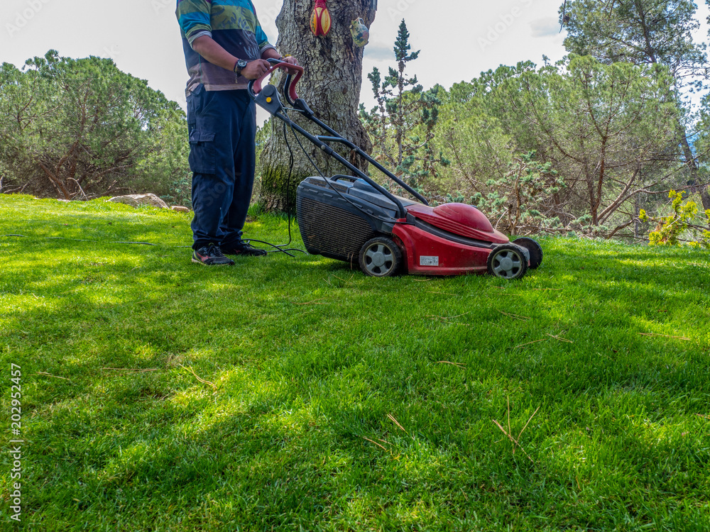 Tree, short grass, shade and gardener. Tree, short grass, shade and gardener.