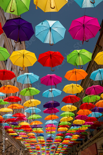 Colored umbrellas hanging between buildings, festival days in Timisoara, Romania
