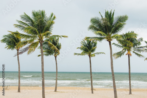 Tropical beach with palm trees  blue sky and white sand.