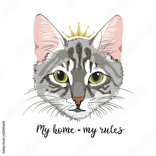 Grey Cat with crown princess queen my home my rules