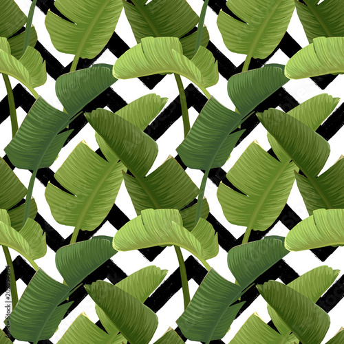 Hand drawn vector seamless pattern with green banana palm leaves on the zig zag striped geometric black and white background. Summer tropical print.