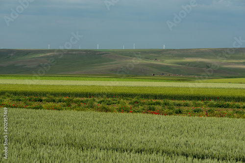 In Romania you can find a lot of fields with windmills, there is a good way to use renewable energy and protect the environment