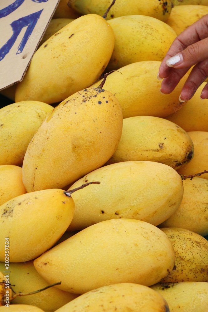 Ripe mango fruit delicious at street food Ripe mango fruit delicious at street food