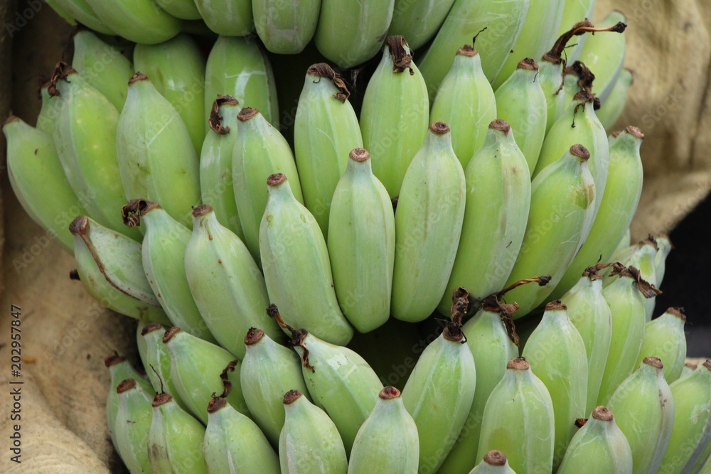 Fresh banana is delicious in the market Fresh banana is delicious in the market