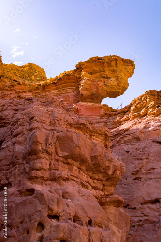 Beautiful geological formation in desert, colorful sandstone canyon walking route, Red Canyon, Negev desert, Israel