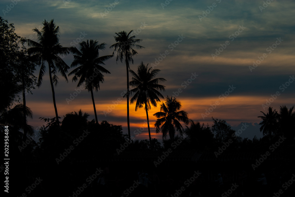 Beautiful light of sunset behind the coconut trees.
