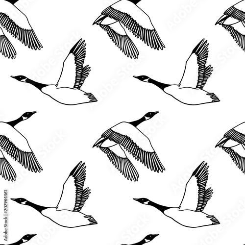 Hand drawn wild goose pattern