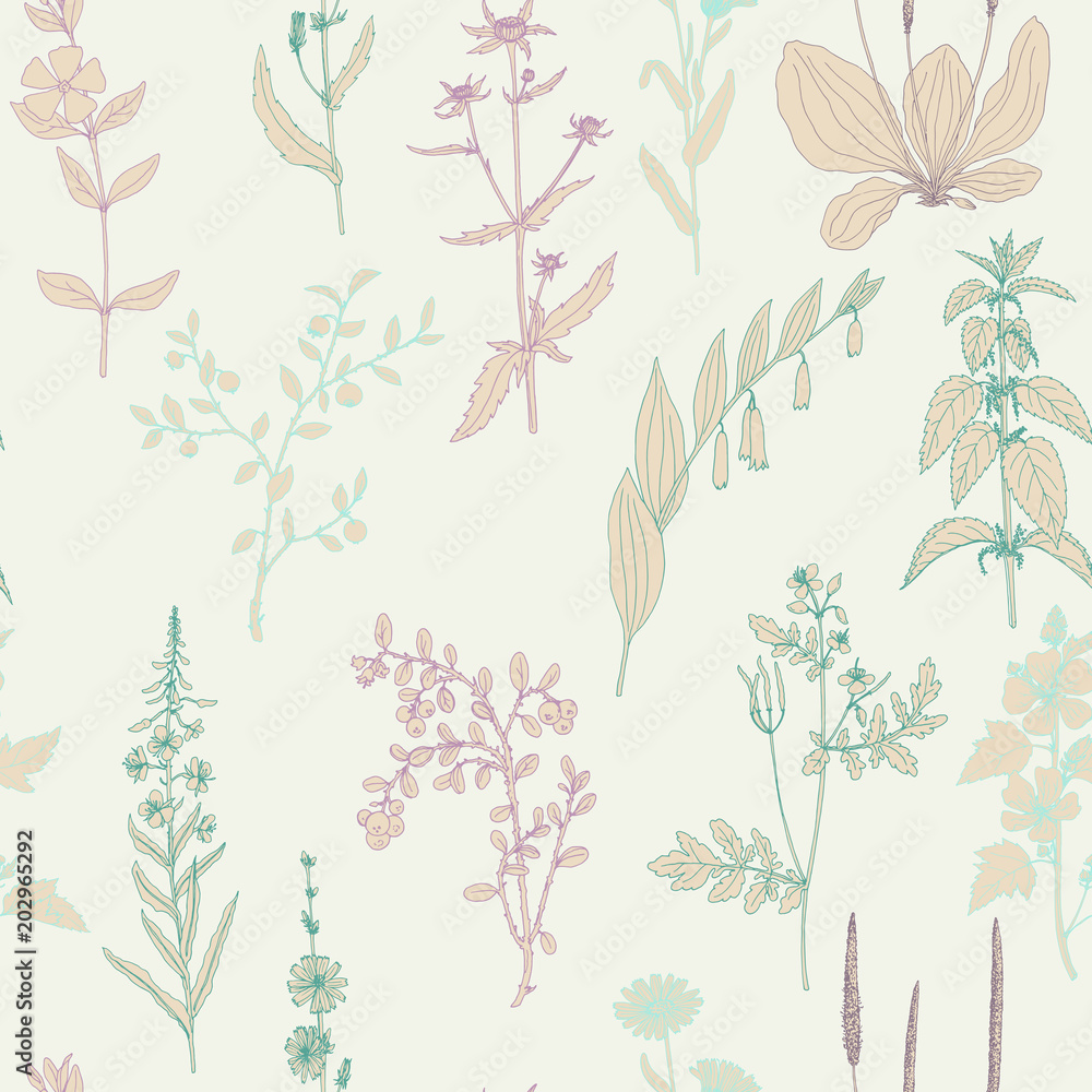 vector seamless pattern with herbs and flowers
