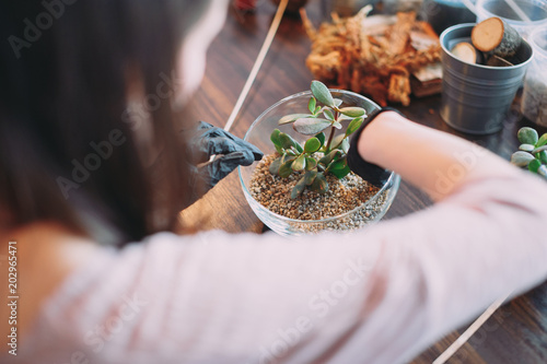 Master class on planting succulents in the florarium of glass The Floriana. Girls plant plants. Hands of the girl close-up. Making a gift and a piece of interior handmade. DIY present