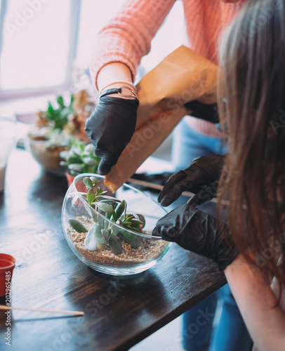 Master class on planting succulents in the florarium of glass The Floriana. Girls plant plants. Hands of the girl close-up. Making a gift and a piece of interior handmade. DIY present