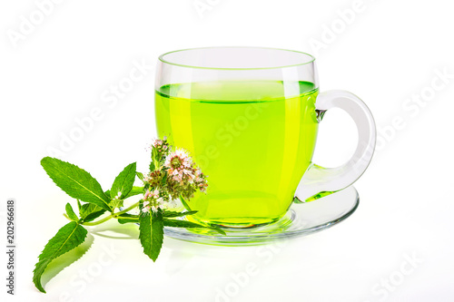 Tea cup with lemon mint herb leaves. Isolated on a white background