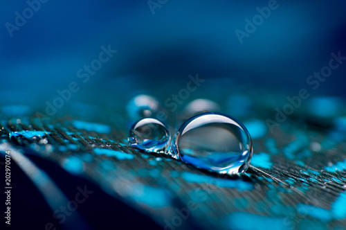 A abstract image of blue color fluffy feathers with two macro water dew drop, beautiful natural background.