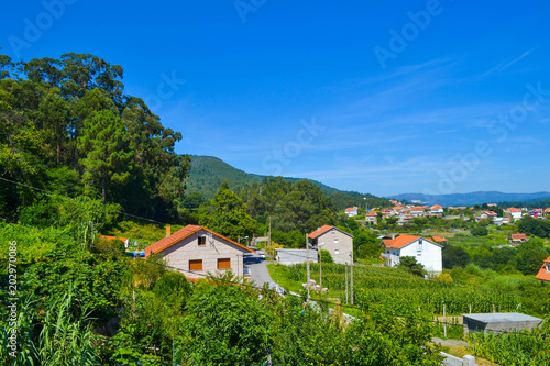 Rural beautiful town with farms and vegetation, mountains at the background