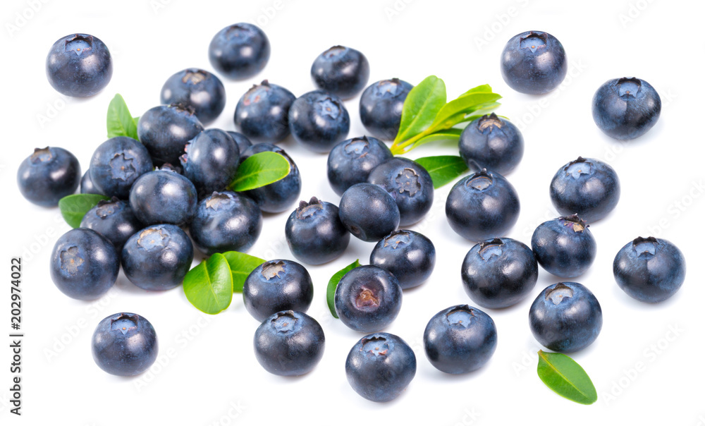 Blueberries isolated on white Blueberries isolated on white
