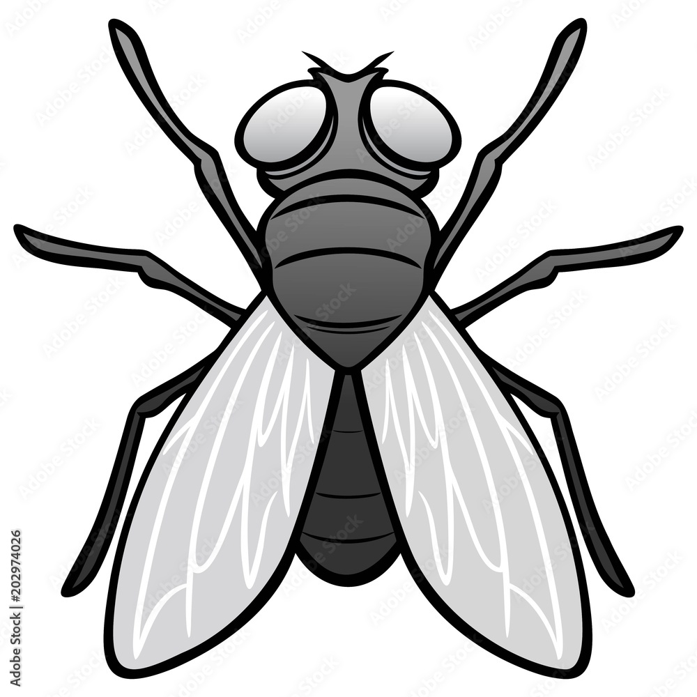 Fotografie Black and White Fly Top View