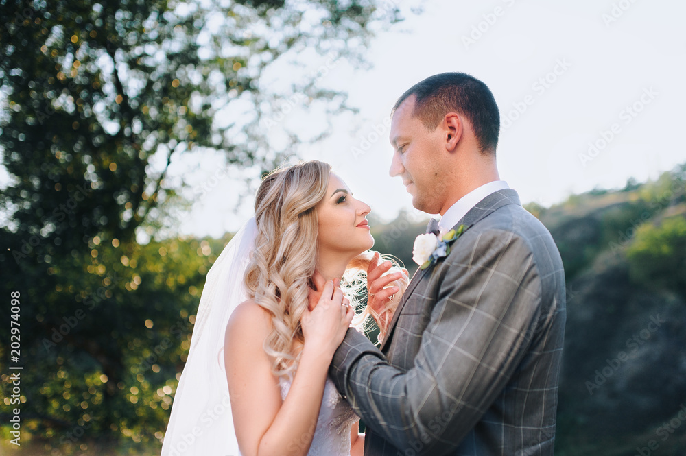 Beautiful newlyweds embrace in nature with the sun, against the background and hills. Evening wedding of the newlyweds with the control of the sunlight. A beautiful bride with curly hair. Beautiful newlyweds embrace in nature with the sun, against the background and hills. Evening wedding of the newlyweds with the control of the sunlight. A beautiful bride with curly hair.
