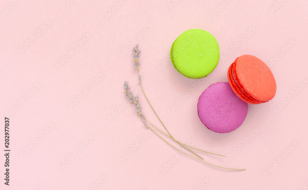 Cake macaron or macaroon and lavender on pink background top view flat lay, beautiful dessert, colorful almond cookies, pastel colors, vintage card Cake macaron or macaroon and lavender on pink background top view flat lay, beautiful dessert, colorful almond cookies, pastel colors, vintage card