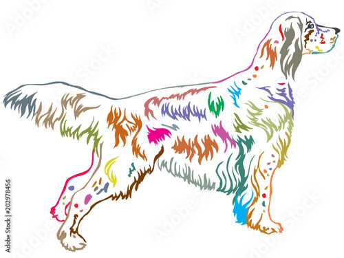 Colorful decorative standing portrait of English Setter vector illustration