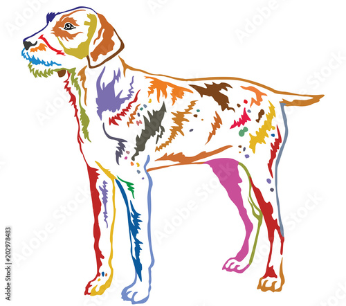 Colorful decorative standing portrait of German Wirehaired Pointer vector illustration © alinart