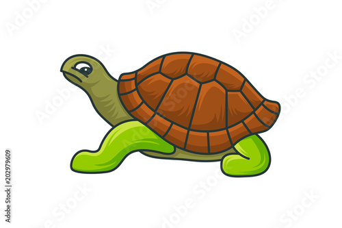 turtle logo template vector illustration