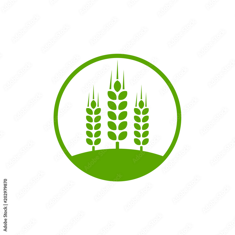 wheat Logo Template vector illustration icon design wheat Logo Template vector illustration icon design
