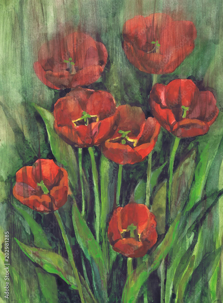 Rysunek "Kwitnące tulipany". Papier, akwarela <span>plik: #202981285 | autor: vodolej</span>