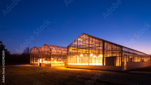 Greenhouses glowing against sunset sky © Craig