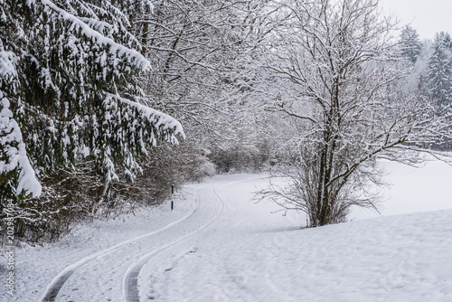 Wallpaper Mural Weg im Winter mit Schnee Torontodigital.ca