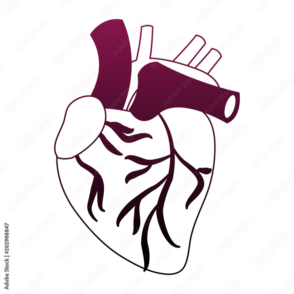 Fotografie Human earth organ vector illustration graphic design