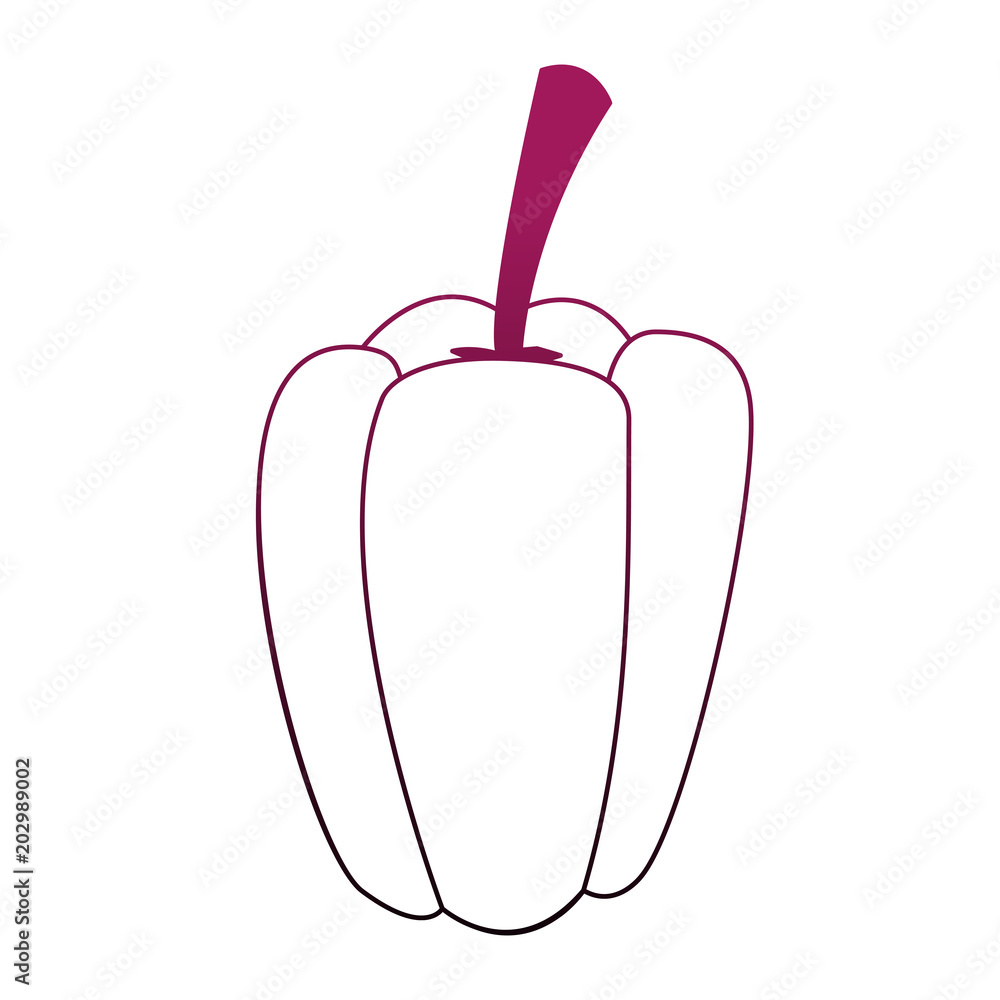 Pepper vegetable isolated vector illustration graphic design Pepper vegetable isolated vector illustration graphic design