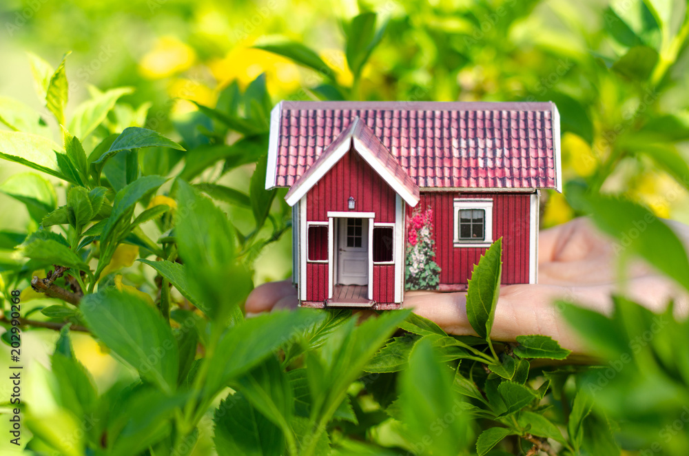 Small house in hand sun leaves plant green nature Small house in hand sun leaves plant green nature