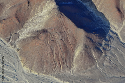 Aerial view of the Nazca Lines  Owlman (astronaut), Peru. photo